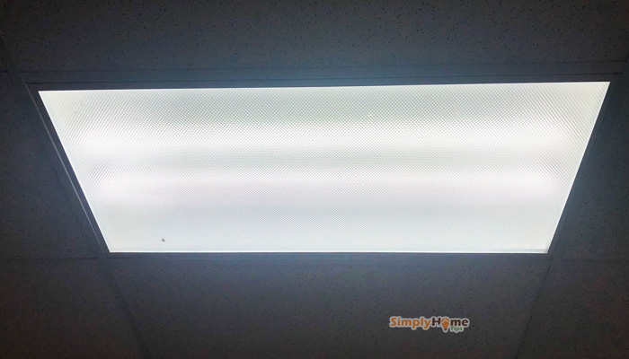 LED 4-Foot T8 Tube Light