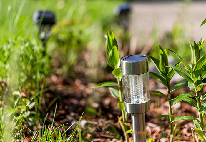 Solar path lights