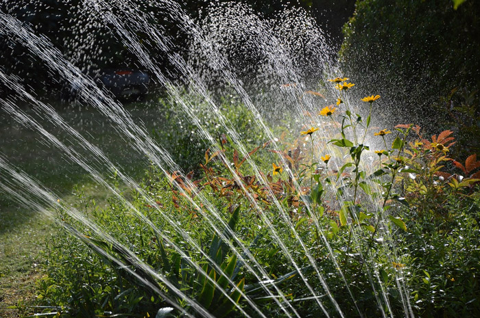 Auto Irrigation system