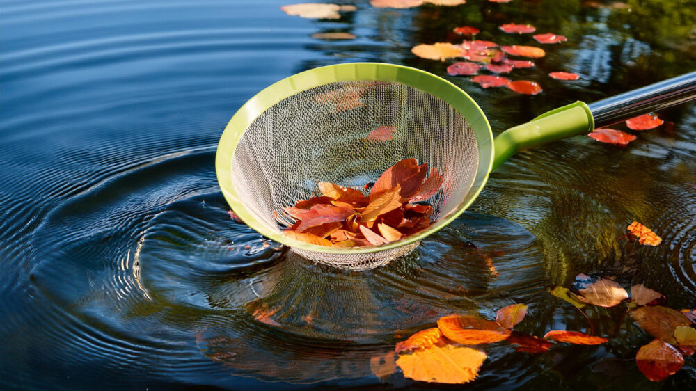 Removing debris on a pond