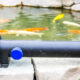 UV light clarifier