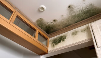 Prevent Mold in High-Humidity Homes