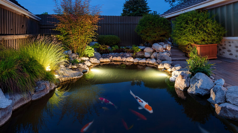 Pond Lighting